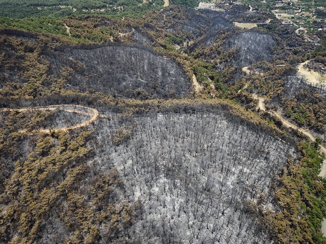 Kahreden manzara! Bornova'da yanan ormanlar dronla görüntülendi 19